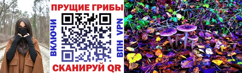 Галлюциногенные грибы GOLDEN TEACHER  МЕГА   Ржев 